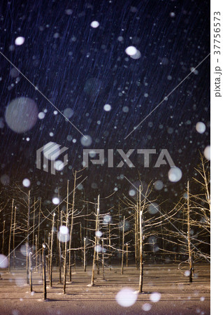 北海道　冬　青い池　雪　風景 37756573