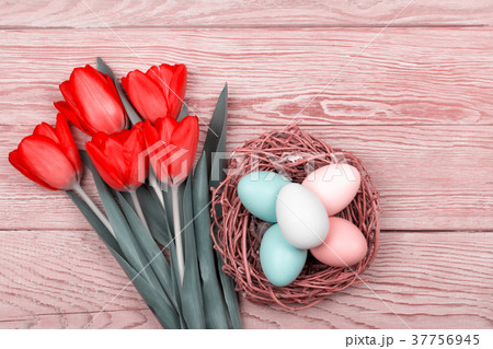 Easter Eggs in a birds nest with colorful tulips 37756945
