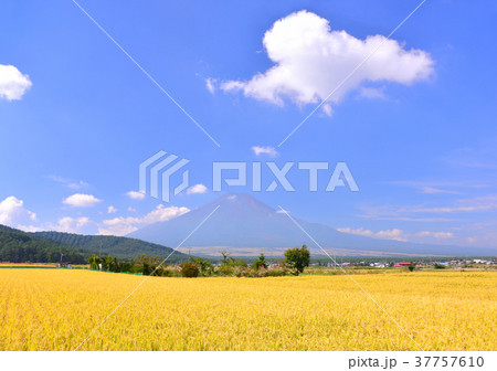 忍野からの秋の風景-777874 37757610