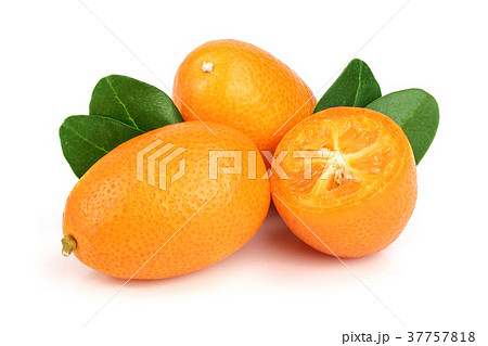 Cumquat or kumquat with leaf isolated on white Cumquat or kumquat with leaf isolated on white 37757818