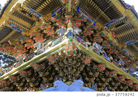 大修理後の陽明門の彫刻 大修理後の陽明門の彫刻 37759242