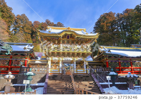大修理後の陽明門（日光東照宮） 37759246