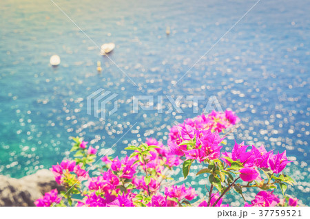 Amalfi coast, Italy 37759521