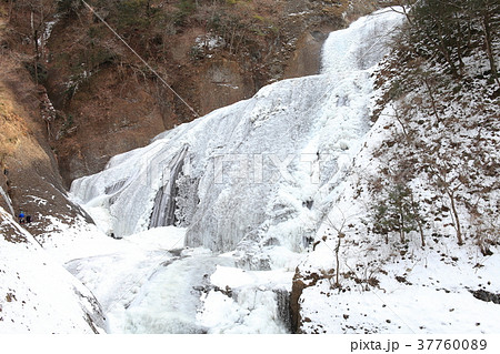 袋田の氷瀑とアイスクライマー 37760089