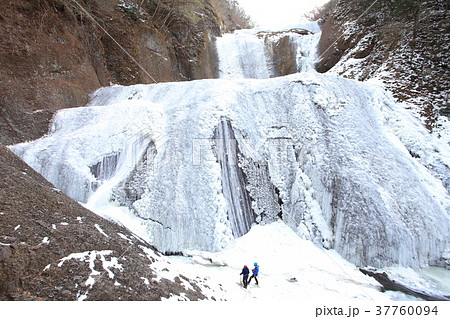 袋田の氷瀑とアイスクライマー 袋田の氷瀑とアイスクライマー 37760094