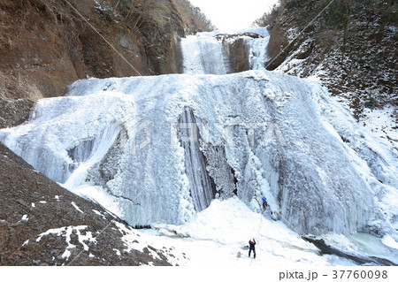 袋田の氷瀑とアイスクライマー 37760098