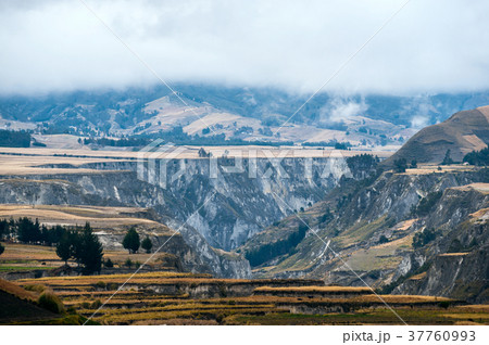 Fields of Zumbahua in Ecuadorian Altiplano. 37760993
