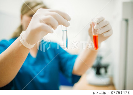 Veterinarian looks at the samples of animal tests 37761478