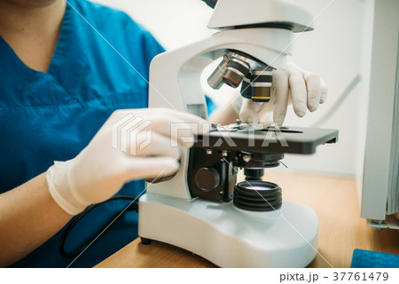 Veterinarian looks through a microscope in clinic 37761479