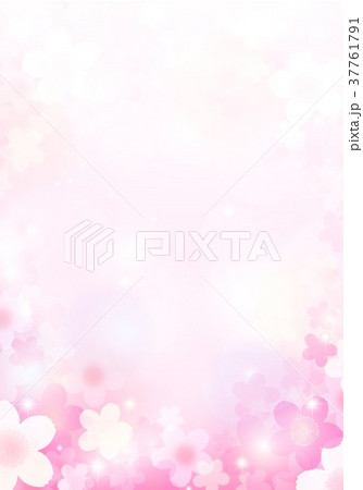 桜の花背景 37761791