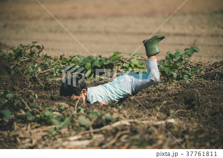 vegetable field 37761811