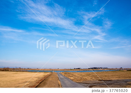 赤岩渡船　熊谷市　千代田町　利根川 37765020