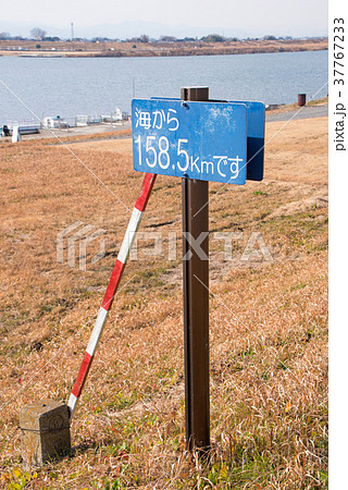 赤岩渡船　群馬県　千代田町　利根川 37767233