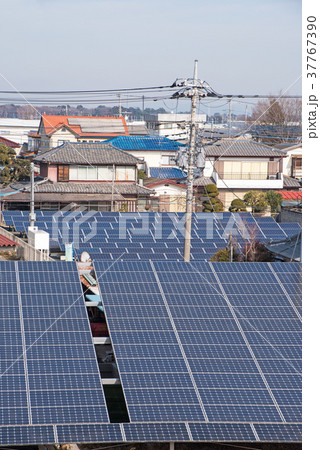 赤岩渡船 群馬県 千代田町 利根川堤ソーラーパネル 赤岩渡船 群馬県 千代田町 利根川堤ソーラーパネル 37767390