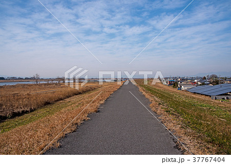 赤岩渡船　群馬県　千代田町　利根川堤 37767404