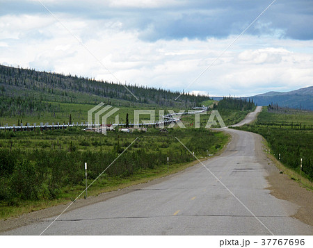 View of Dalton Highway with oil pipeline, leading 37767696