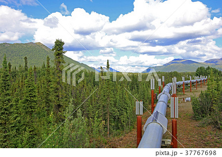 Oil pipeline along Dalton Highway, leading from 37767698