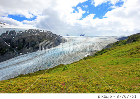 Exit Glacier, Harding Ice Field, Kenai Fjords 37767751