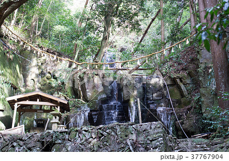 青葉滝 37767904