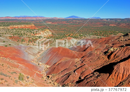 Red rock landscape along Burr Trail and Capitol 37767972