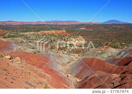 Red rock landscape along Burr Trail and Capitol Red rock landscape along Burr Trail and Capitol 37767974