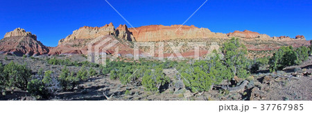 Red rock landscape along Burr Trail and Capitol 37767985