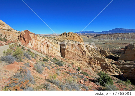 Red rock landscape along Burr Trail and Capitol 37768001