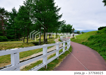 蒜山ホースパーク（岡山県真庭市） 37768025