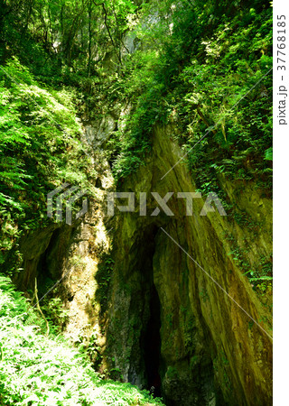 備中鐘乳穴  入口（岡山県真庭市） 37768185