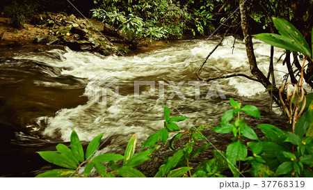 Mountain stream and Waterfall Mountain stream and Waterfall 37768319