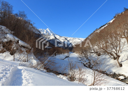 湯桧曽川沿いから武能岳方面を見る 37768612