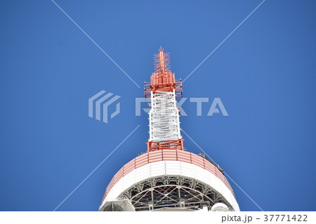 東京タワー先端 東京タワー先端 37771422