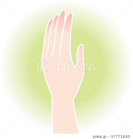 手のポーズ 37771830