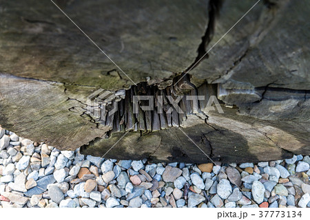 テクスチャ テクスチャー 風合い 37773134