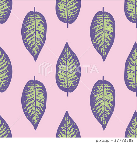 Dieffenbachia tropical leaf seamless pattern. 37773588
