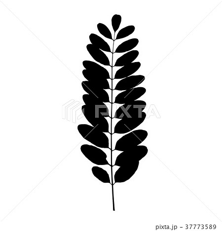 Black tree leaf silhouette. Vector illustration 37773589