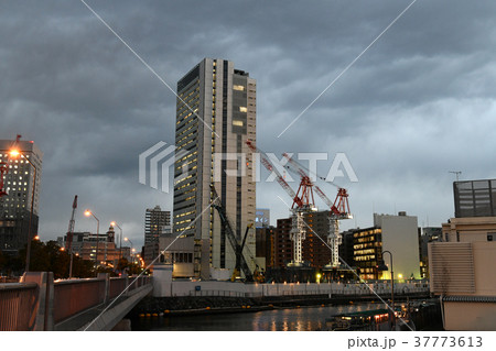 日本の横浜都市景観「横浜市中区方向などを望む」（横浜市役所新庁舎計画） 37773613