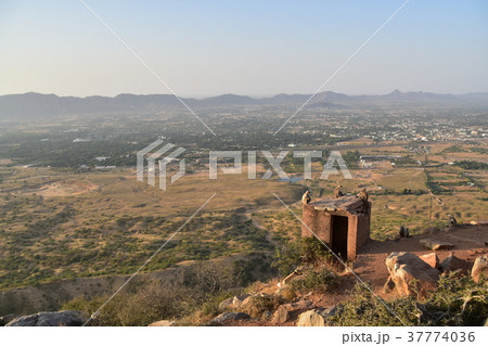 インドのプシュカル　山頂のヒンドゥー寺院から見たプシュカルの街並み　ハマヌーン・ラングールの群れ 37774036