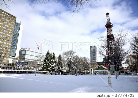 札幌大通公園の都市風景 札幌大通公園の都市風景 37774705
