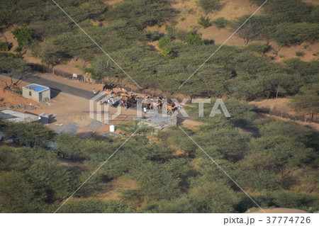インドのプシュカル 山頂のヒンドゥー寺院から見たラクダ祭の様子 ラクダの群れの移動 インドのプシュカル 山頂のヒンドゥー寺院から見たラクダ祭の様子 ラクダの群れの移動 37774726