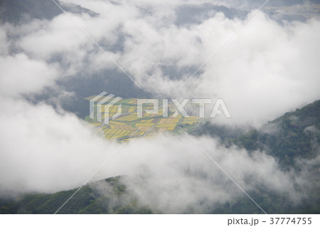 雲海 雲海 37774755