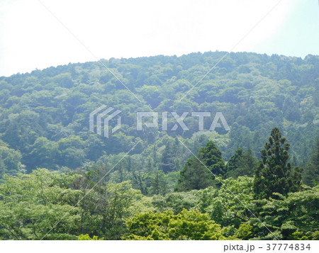 山　岡田美術館より望む 37774834
