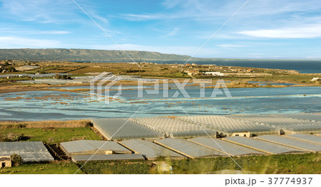 Tomato Greenhouses and Salines - Pachino Italy 37774937