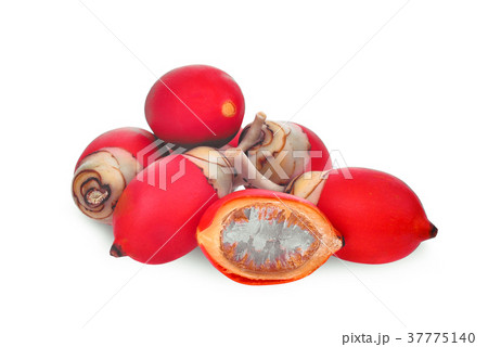 ripe betel nut fruit isolated on white background 37775140