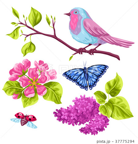 Spring garden set of objects. Natural illustration 37775294