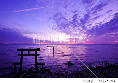 海中鳥居 （太良町） 37775343