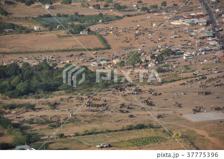 インドのプシュカル 山頂のヒンドゥー寺院から見たラクダ祭の様子と街並み インドのプシュカル 山頂のヒンドゥー寺院から見たラクダ祭の様子と街並み 37775396