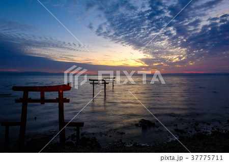 海中鳥居 (太良町) 海中鳥居 (太良町) 37775711