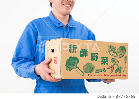農業イメージ 農業イメージ 37775768