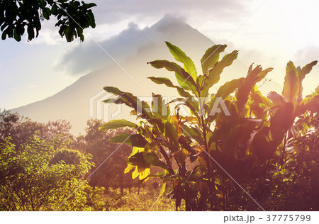 Arenal volcano 37775799